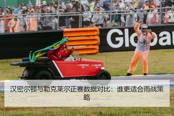 汉密尔顿与勒克莱尔正赛数据对比：谁更适合雨战策略